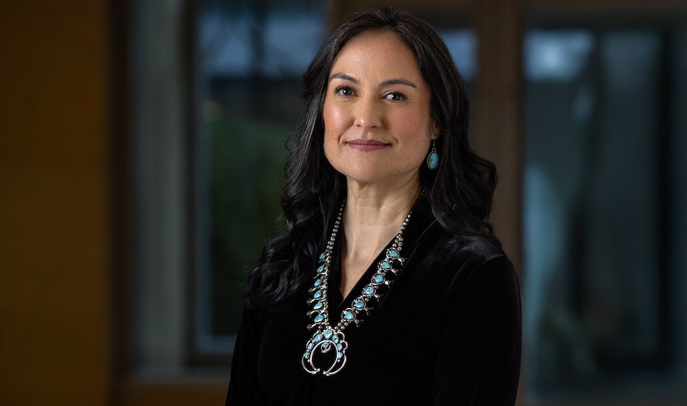 IAIA names former NEH chair Shelly Lowe as next president