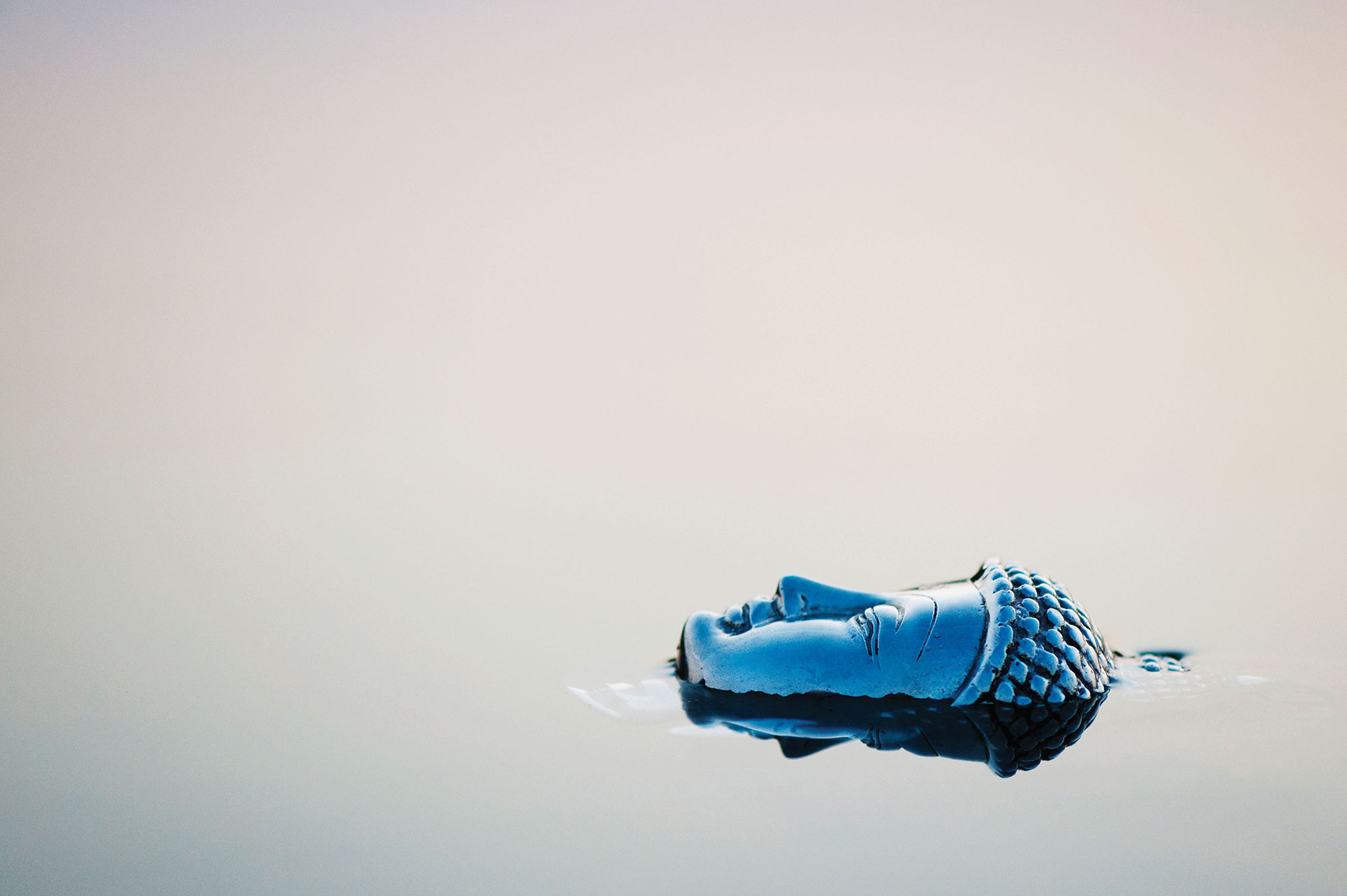 Forgiveness Is Not Buddhist - Tricycle: The Buddhist Review