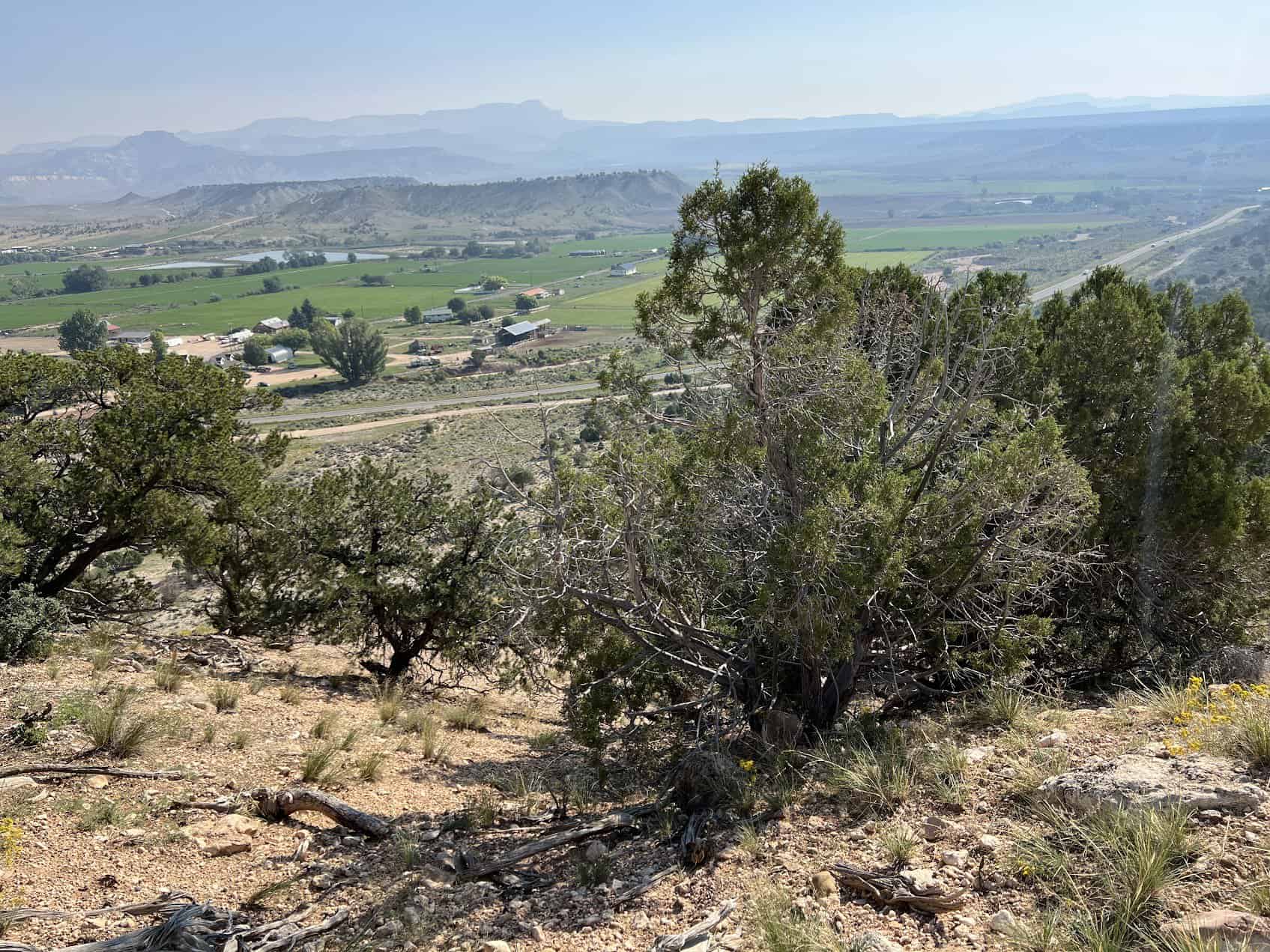 Land Sale Auction - June 5-10, 2025 - Trust Lands Administration