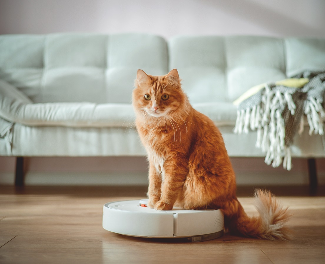 Whose Failure Is the Failed Amazon/iRobot Merger? - Truth on the Market