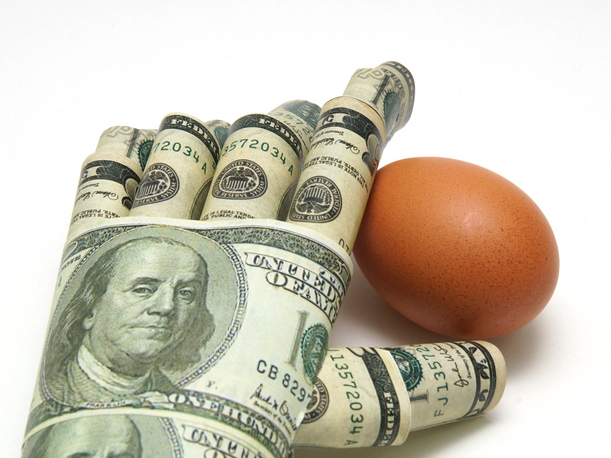 Stop Blaming Rising Egg Prices on Market Power - Truth on the Market
