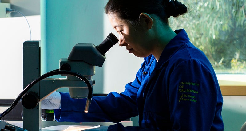 Help UC fight cancer when you file your taxes | UCnet