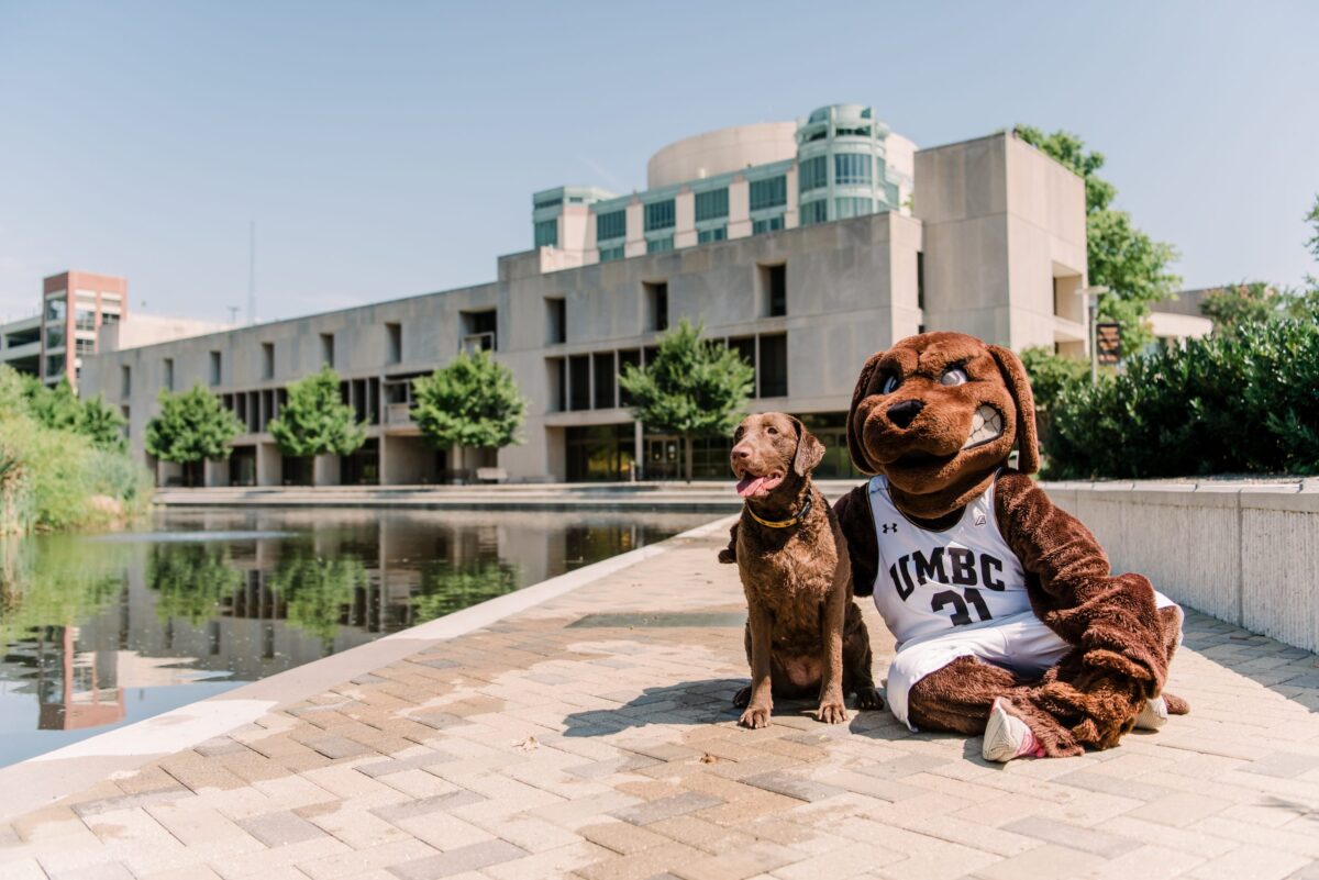 Apply - UMBC: University Of Maryland, Baltimore County