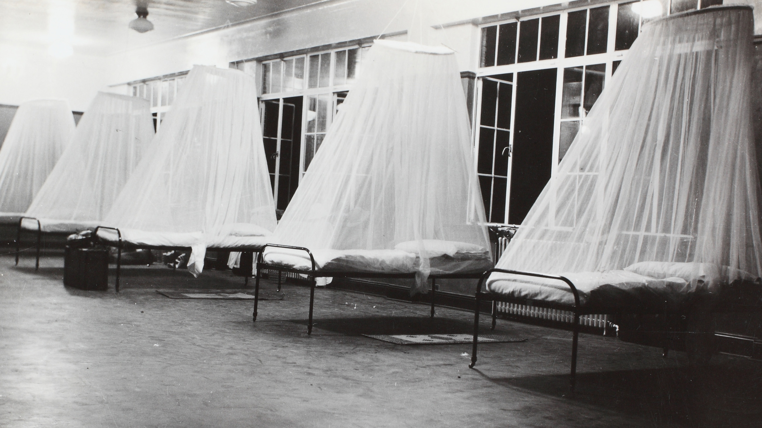 The Blind Pursuit of Mosquito Control