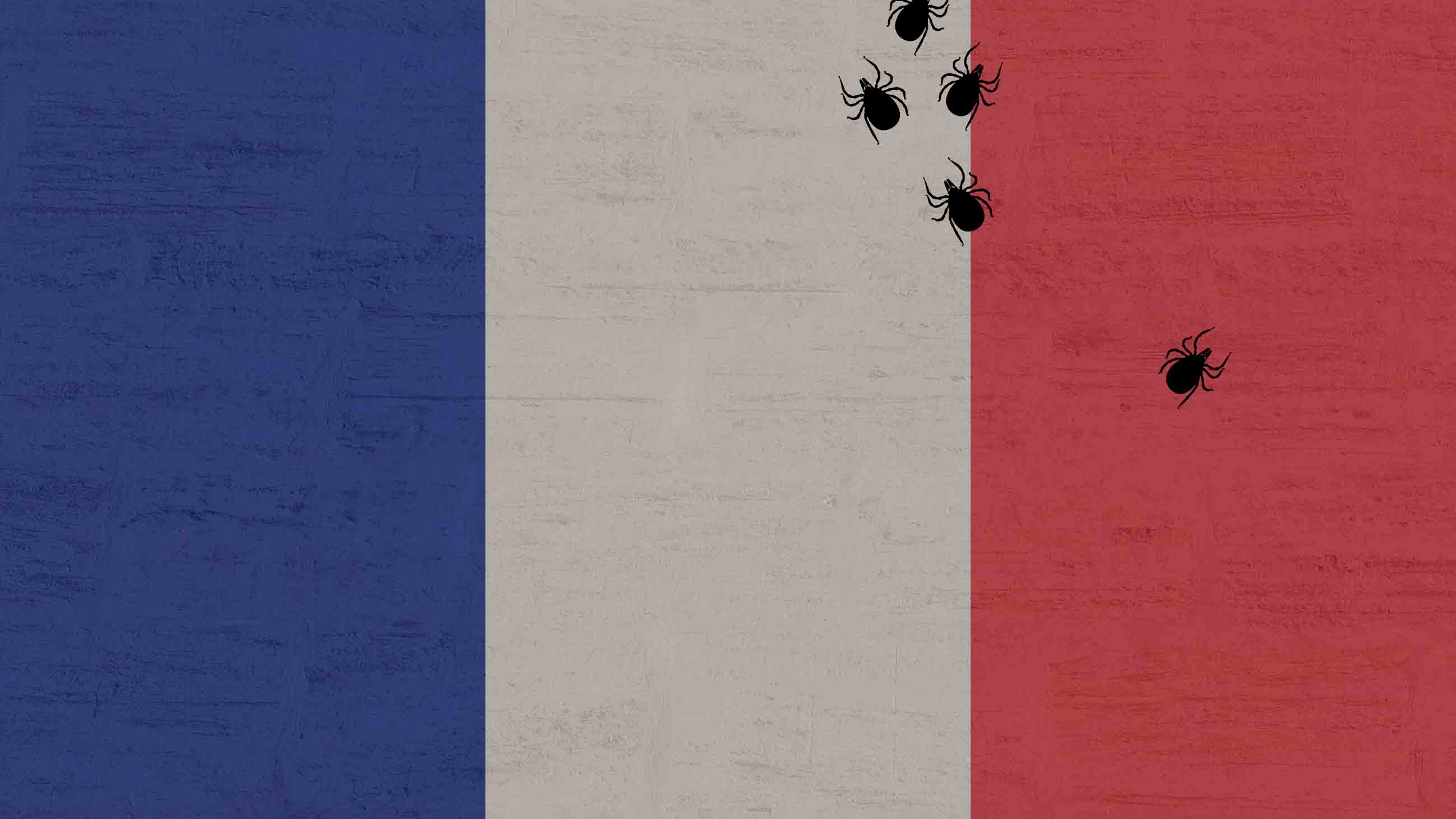 French Lessons: Combating Mistrust and Misinformation on Lyme Disease