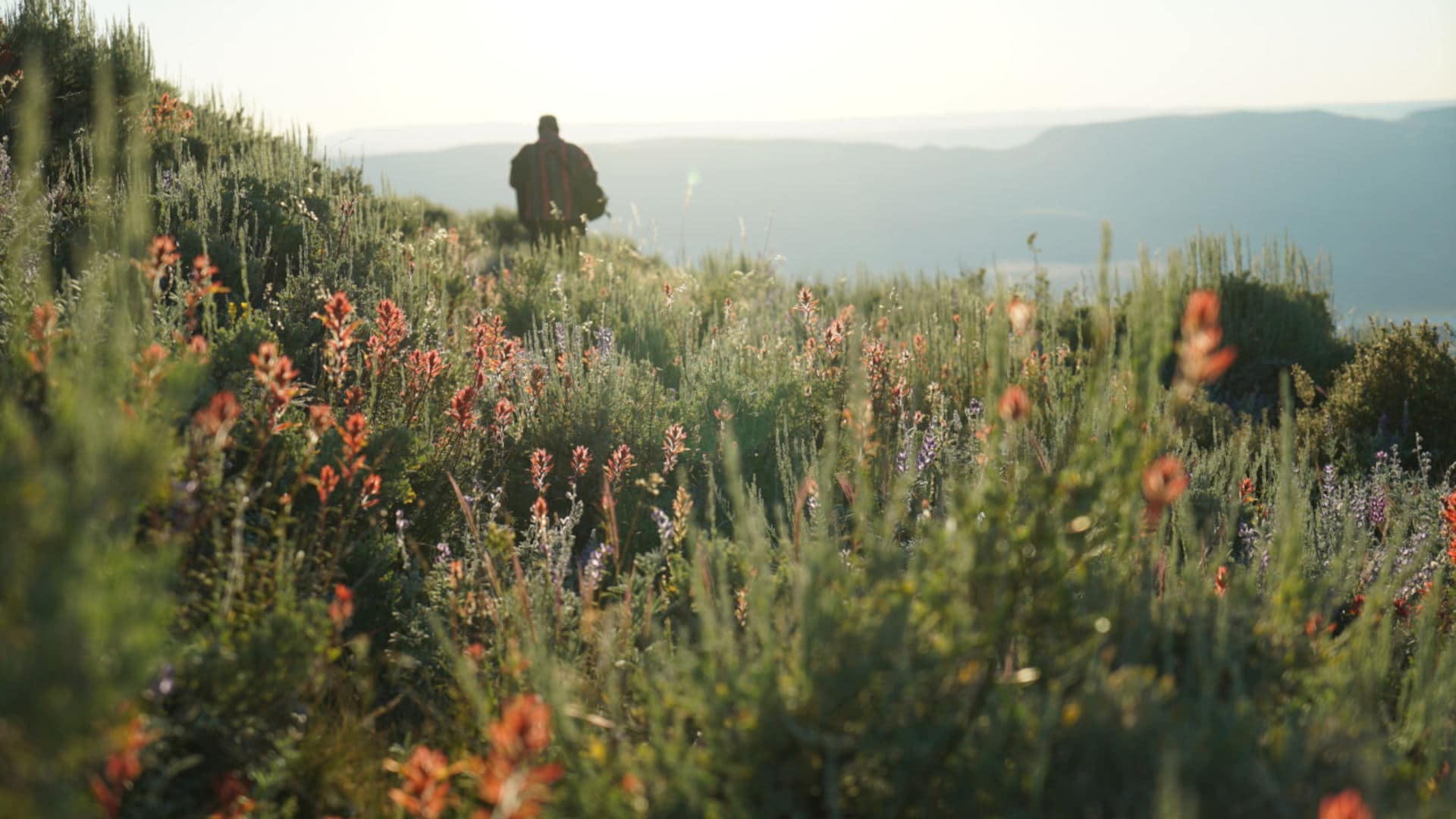 To Prevent the Next Covid-19, We Must Prioritize Biodiversity