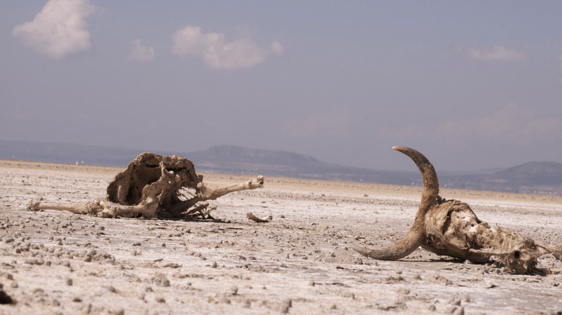 When Will Earth Run Out Of Water | World Water Crisis, Scarcity