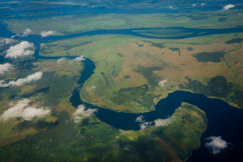 Logging in Congo threatens newly discovered peatlands, warn scientists - Unearthed