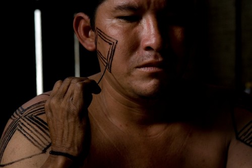 Brazil: Increase in number indigenous activists killed as political crisis threatens Amazon - Unearthed