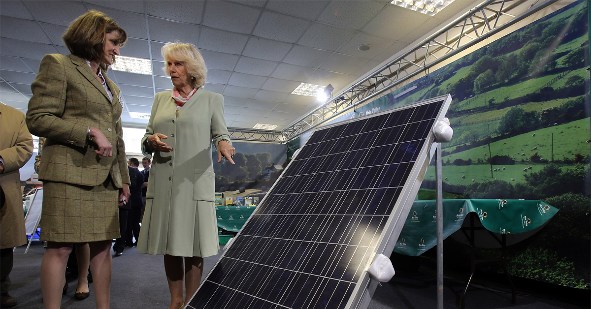 Tory energy policy in tatters as solar firms collapse due to renewables subsidies cuts - Unearthed