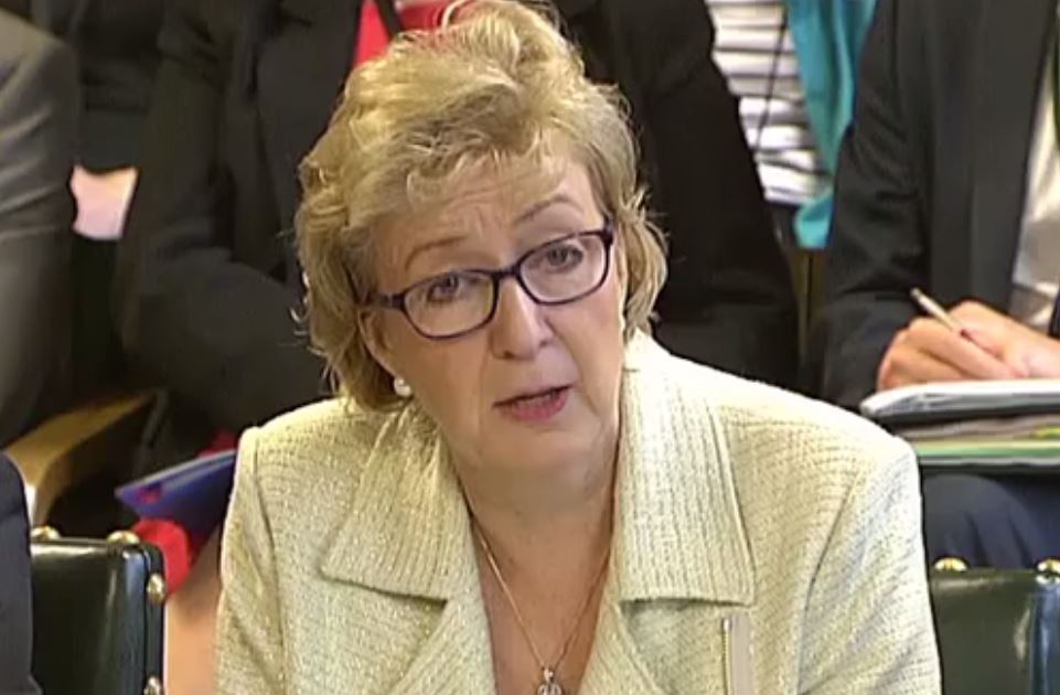 Factcheck: Minister tells MPs local companies say they could benefit from solar cuts, local companies disagree - Unearthed