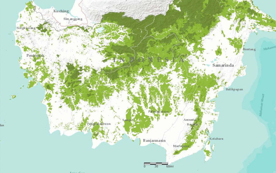 Investigation: Mapping Indonesia’s fires and logging rights - Unearthed