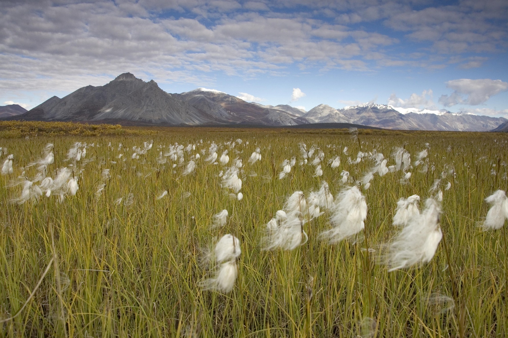 Trump could allow oil drilling in all these iconic federal lands - Unearthed