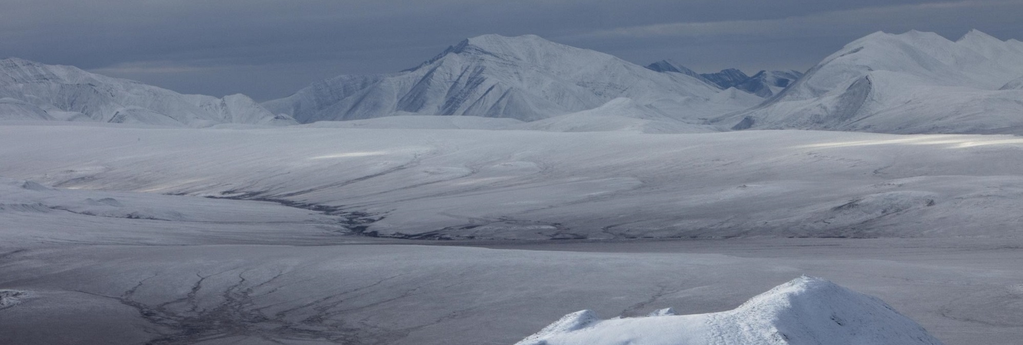 BP backs Trump’s Arctic oil drilling plans despite climate risk - Unearthed