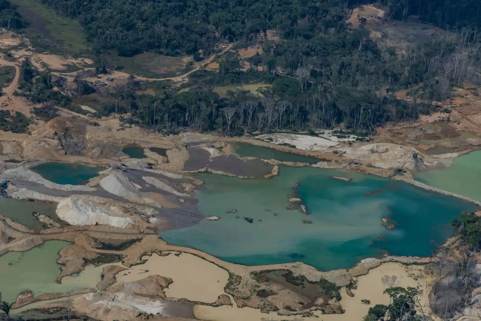 A corrida por minerais críticos e a Amazônia