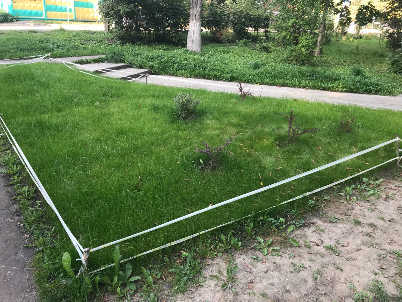 Сквер Маяковского, что сделали в 2019 году - УрбанПушкино