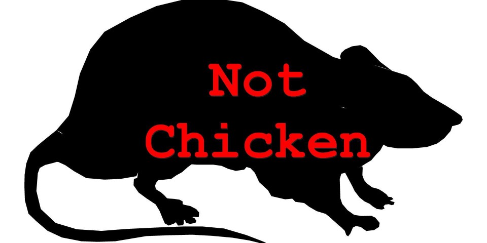 300,000 Pounds of Rat Meat Sold as Chicken Wings Across America300,000 Pounds of Rat Meat Sold as Chicken Wings Across America - Urban Image Magazine