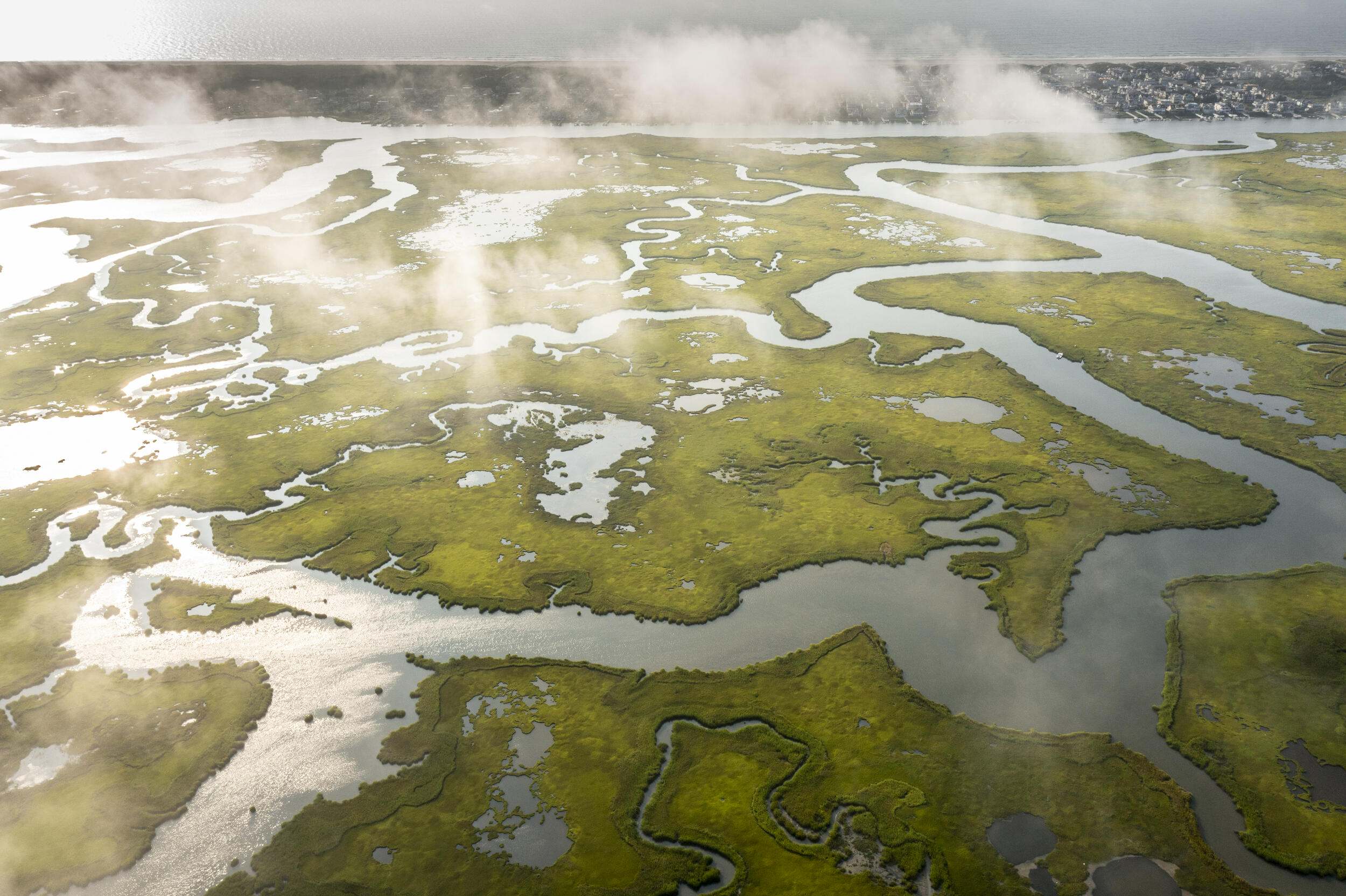Tapping into the Potential of Blue Carbon: A Natural Solution to Climate Change and Coastal Resilience | US Nature4Climate