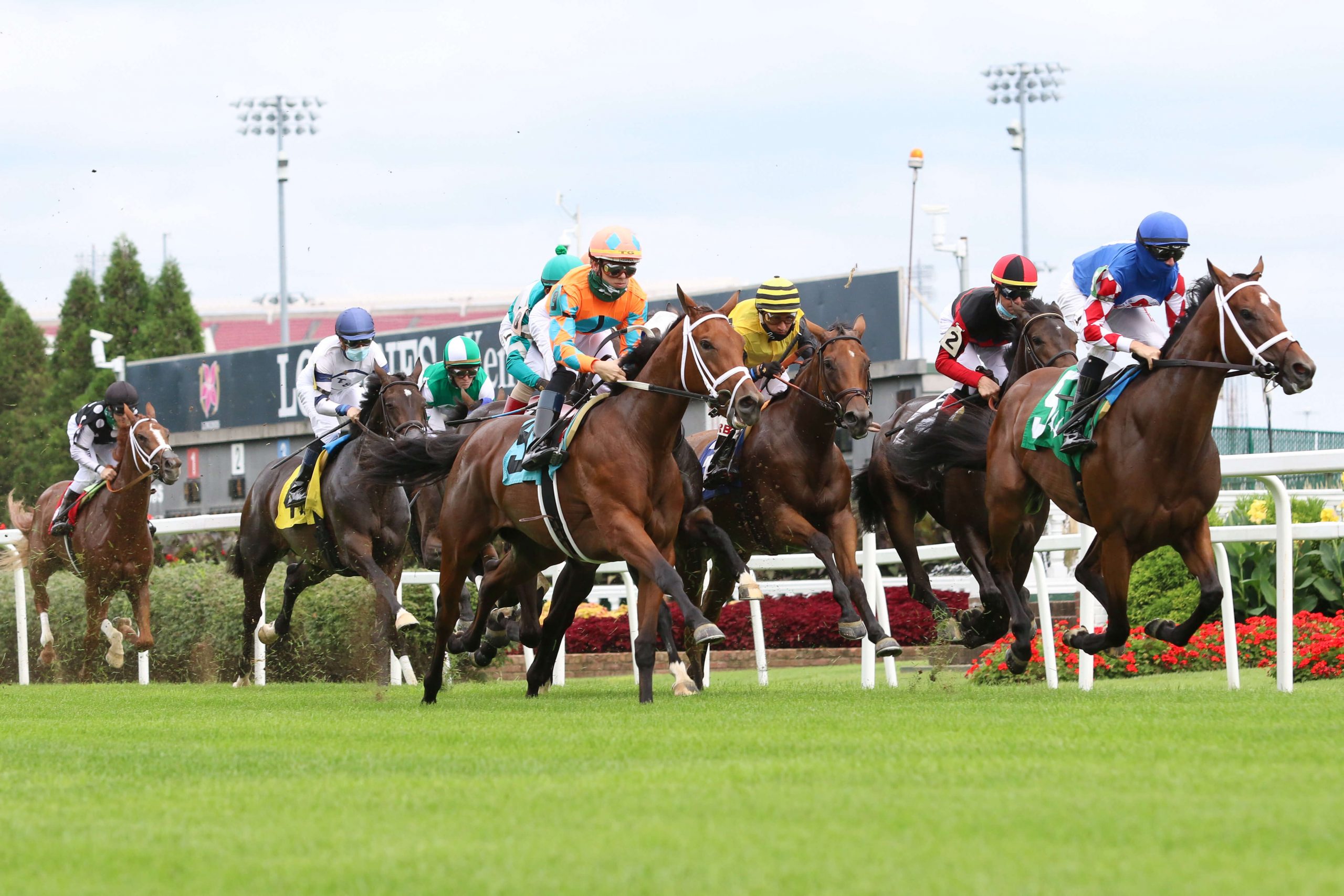 5 Tips To Execute At The Track | Horse Racing News