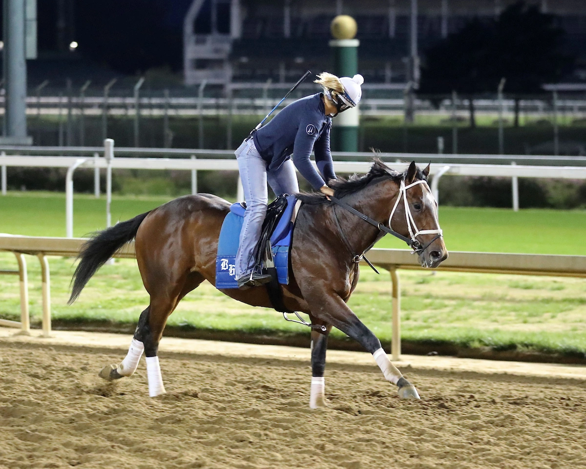 Kentucky Derby Contender: Commandment | US Racing