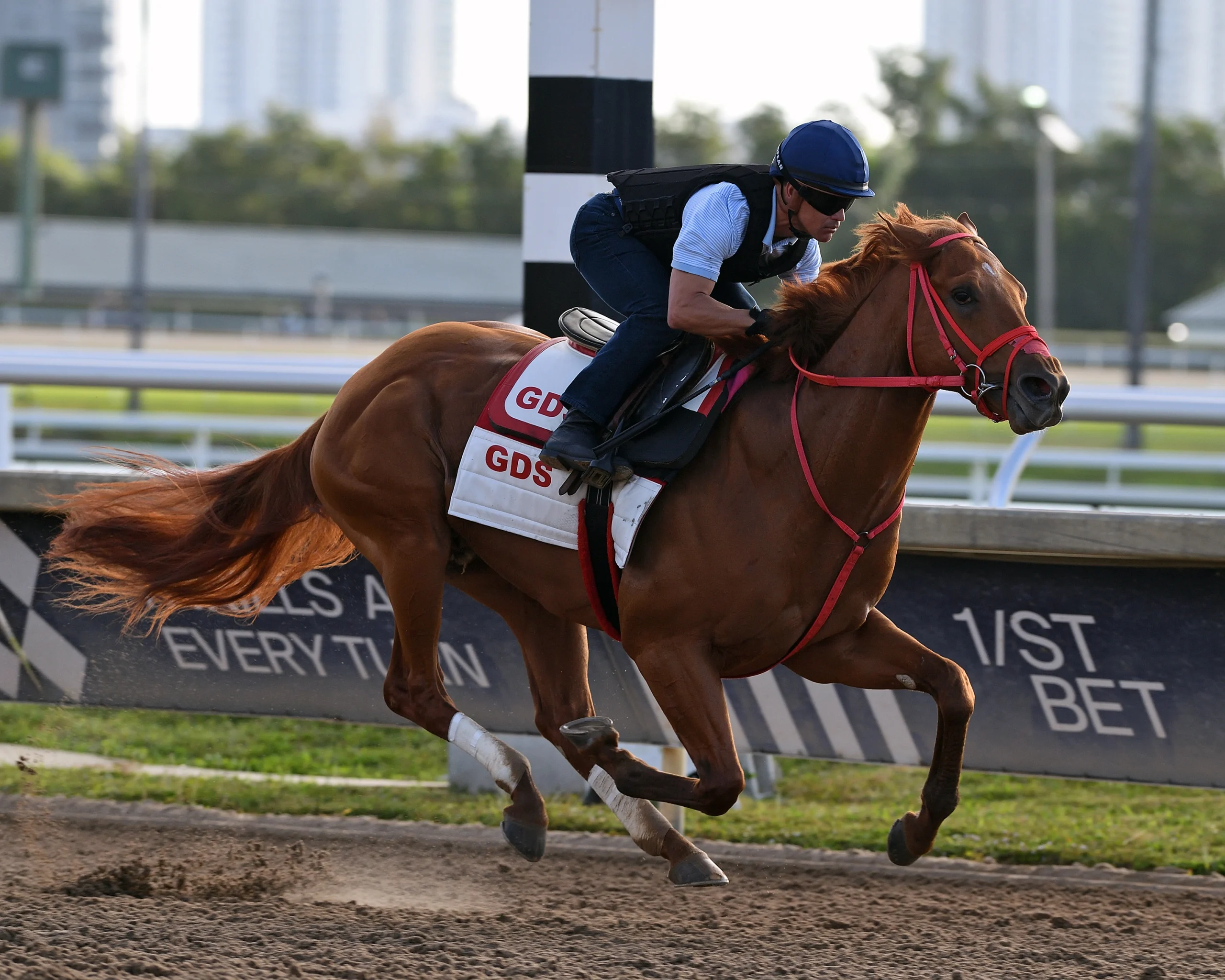 Kentucky Derby Contender: The Puma | US Racing