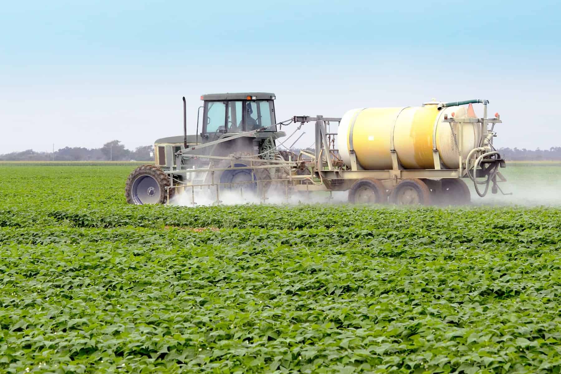 Not Just For Corn and Soy; Glyphosate Use Prevalent in Many Food Crops