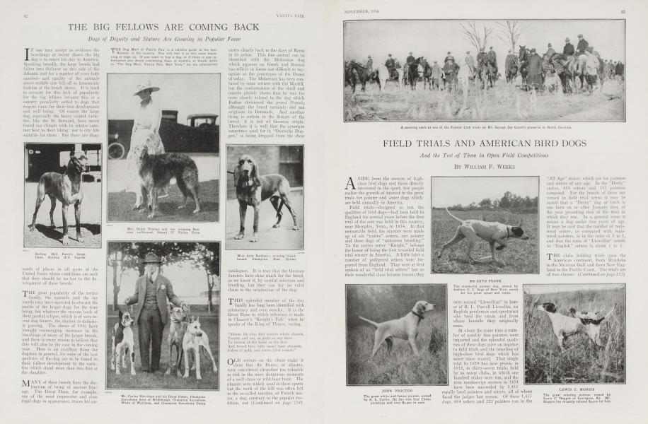 FIELD TRIALS AND AMERICAN BIRD DOGS | Vanity Fair | November 1916