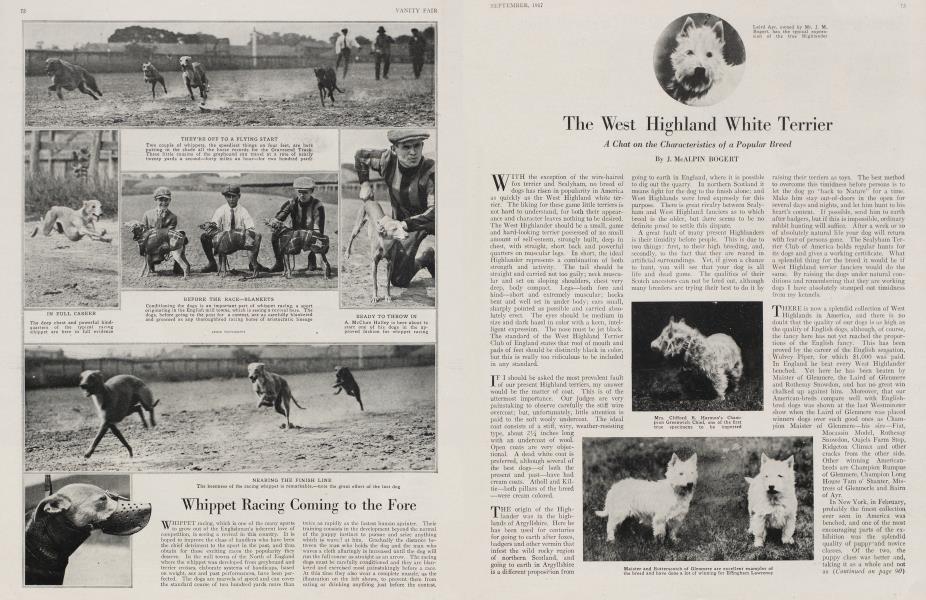 The West Highland White Terrier | Vanity Fair | September 1917