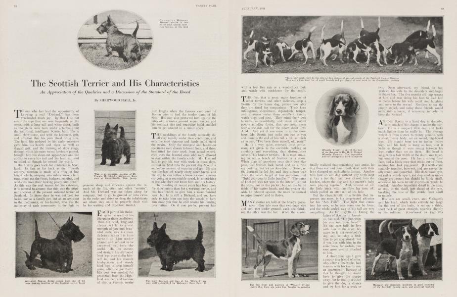 The Scottish Terrier and His Characteristics | Vanity Fair | February 1918