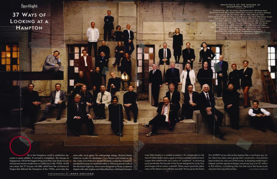 37 WAYS OF LOOKING AT A HAMPTON | Vanity Fair | May 2003