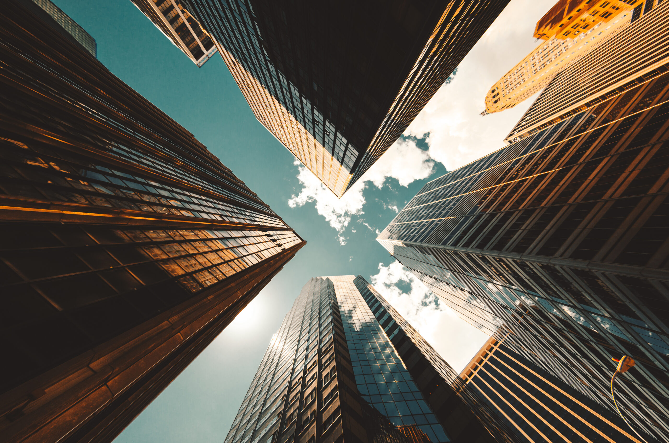 New VCMI Guidance Opens Door for Corporate Carbon Credit Claims | VCMI
