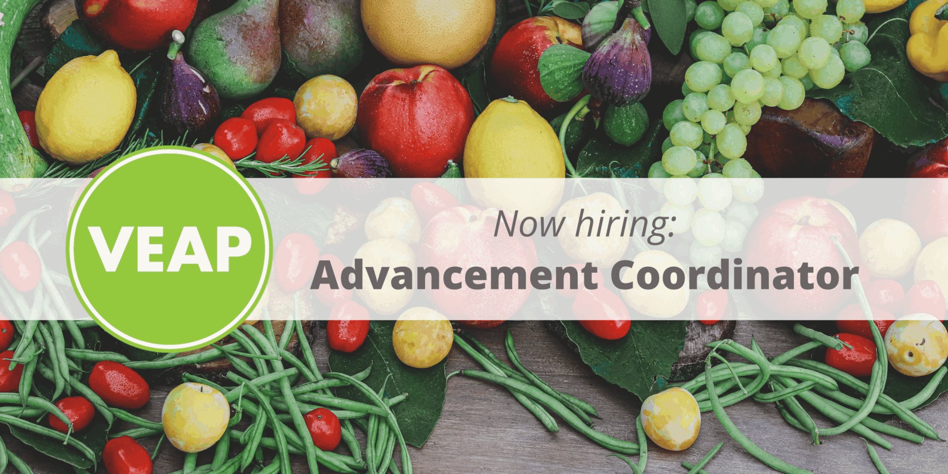 NOW HIRING: Advancement Coordinator - veap.org
