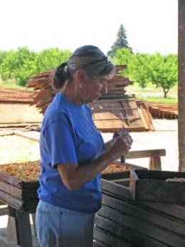 In Memoriam: Betty Van Dyke of Van Dyke Ranch - Veritable Vegetable