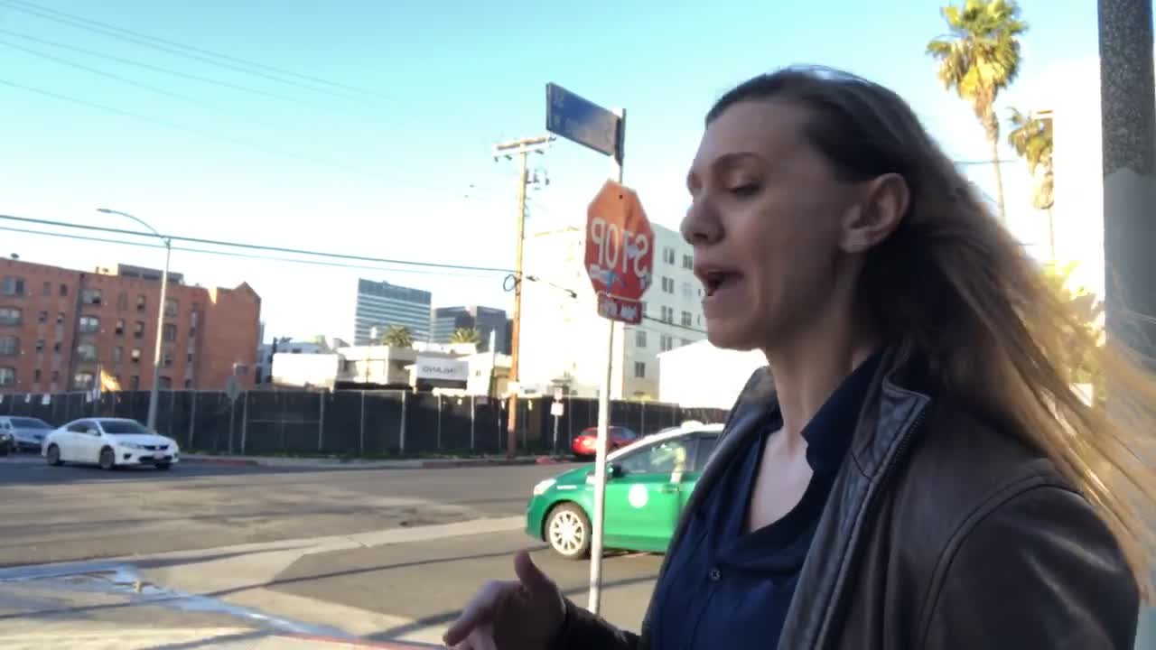 Safety Improvements Needed on Oxford Avenue in Koreatown | Hoff The Beaten Path