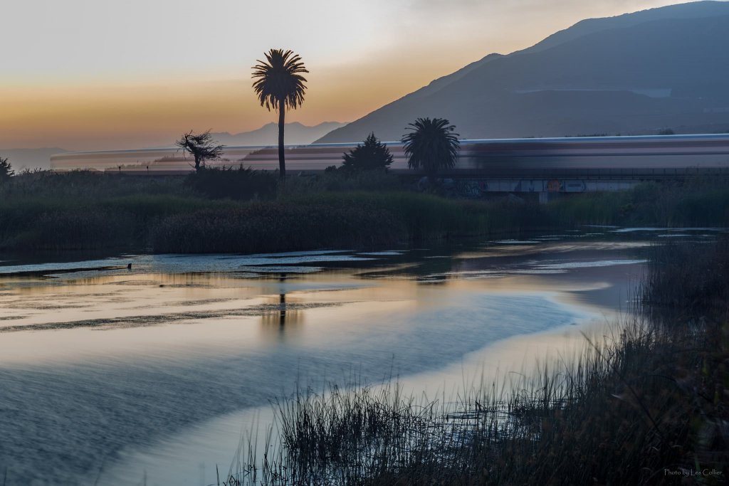 Discover the Ventura River Estuary and the Ventura River