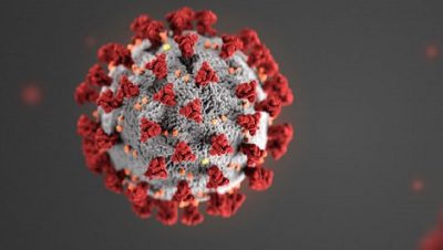 Manufactured Pandemic: Testing People for Any Strain of a Coronavirus, Not Specifically for COVID-19/ By Julian Rose/ Global Research - Mark Taliano