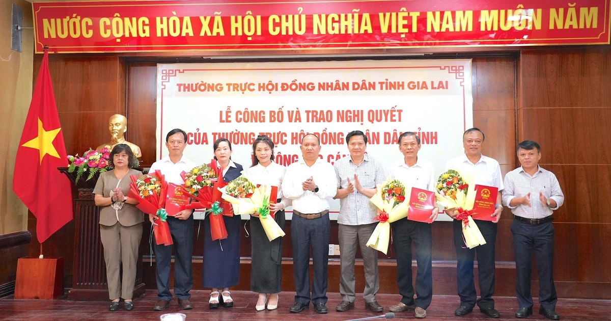 Công bố và trao Nghị quyết của Thường trực HĐND tỉnh Gia Lai về công tác cán bộ