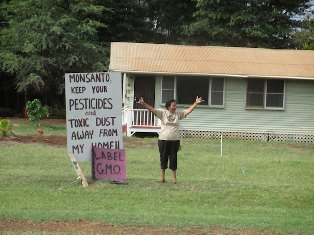 The struggle to reclaim paradise • Waging Nonviolence | Waging Nonviolence