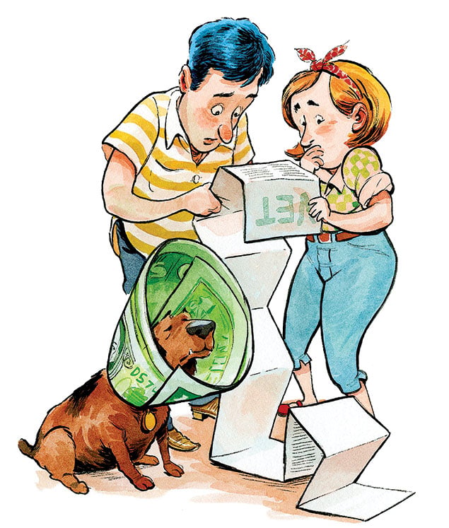 The Crowd-Funding Craze Hits the World of Pet Surgery - Washingtonian