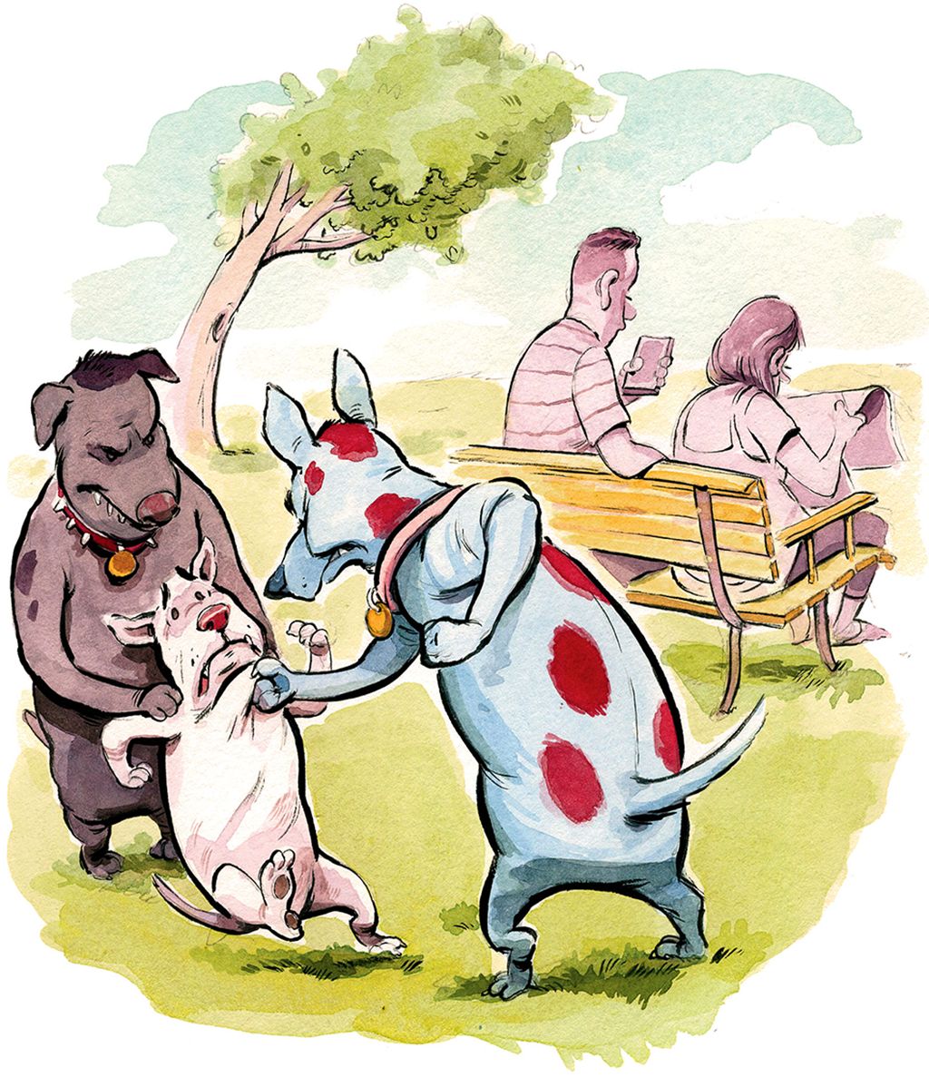 How to Deal With Aggressive Dogs at the Dog Park - Washingtonian