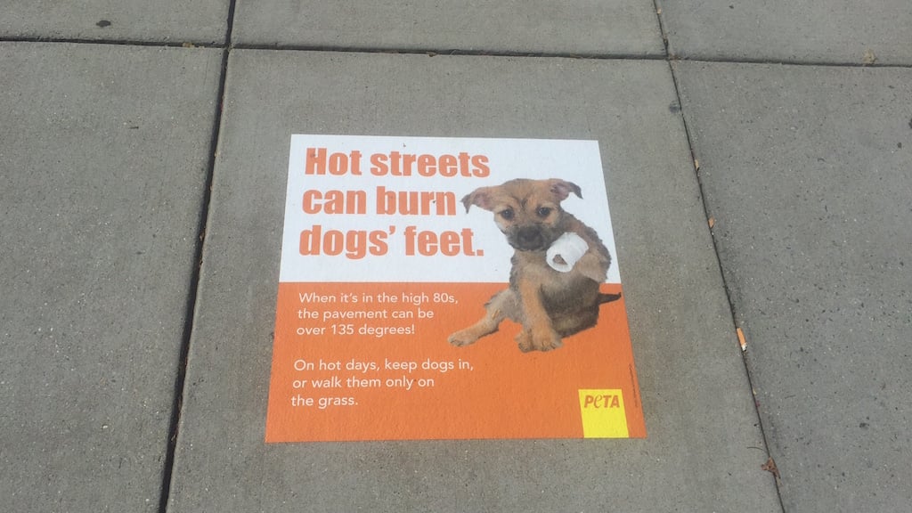 PETA is Using DC Sidewalks to Warn Against Walking Your Dog in the Middle of a Hot Day - Washingtonian