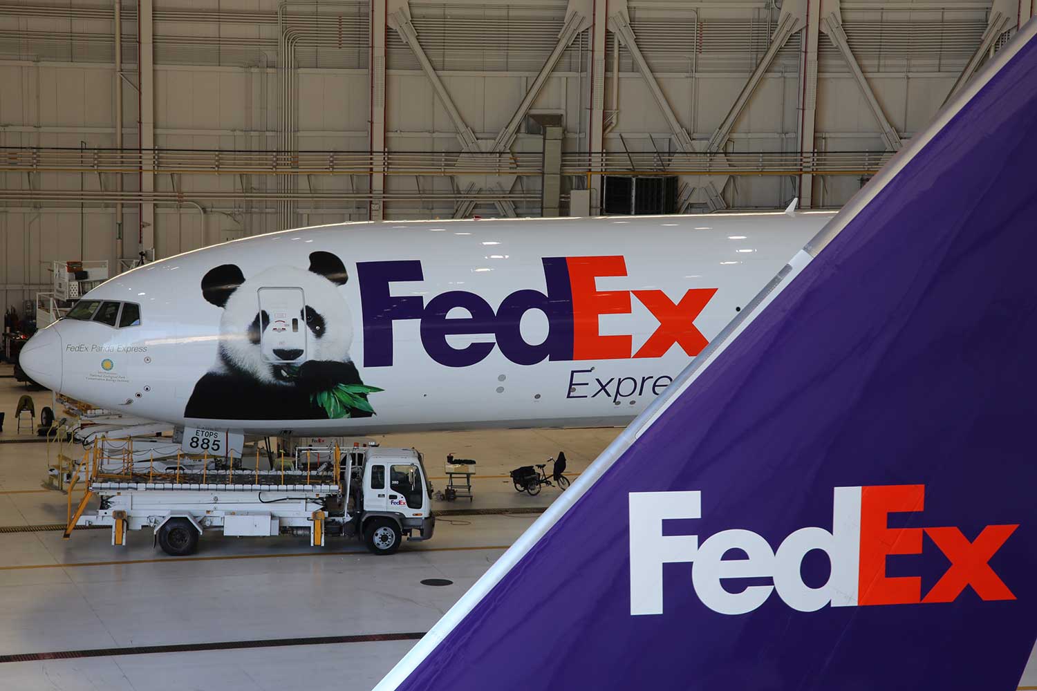 How Do You FedEx a Panda to China? We Talked to the People Overseeing the Trip - Washingtonian
