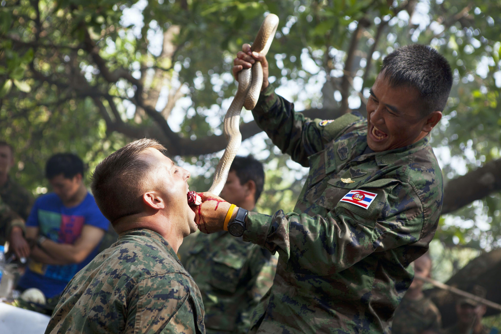 PETA Asks Marines to Stop Drinking Cobra Blood - Washingtonian