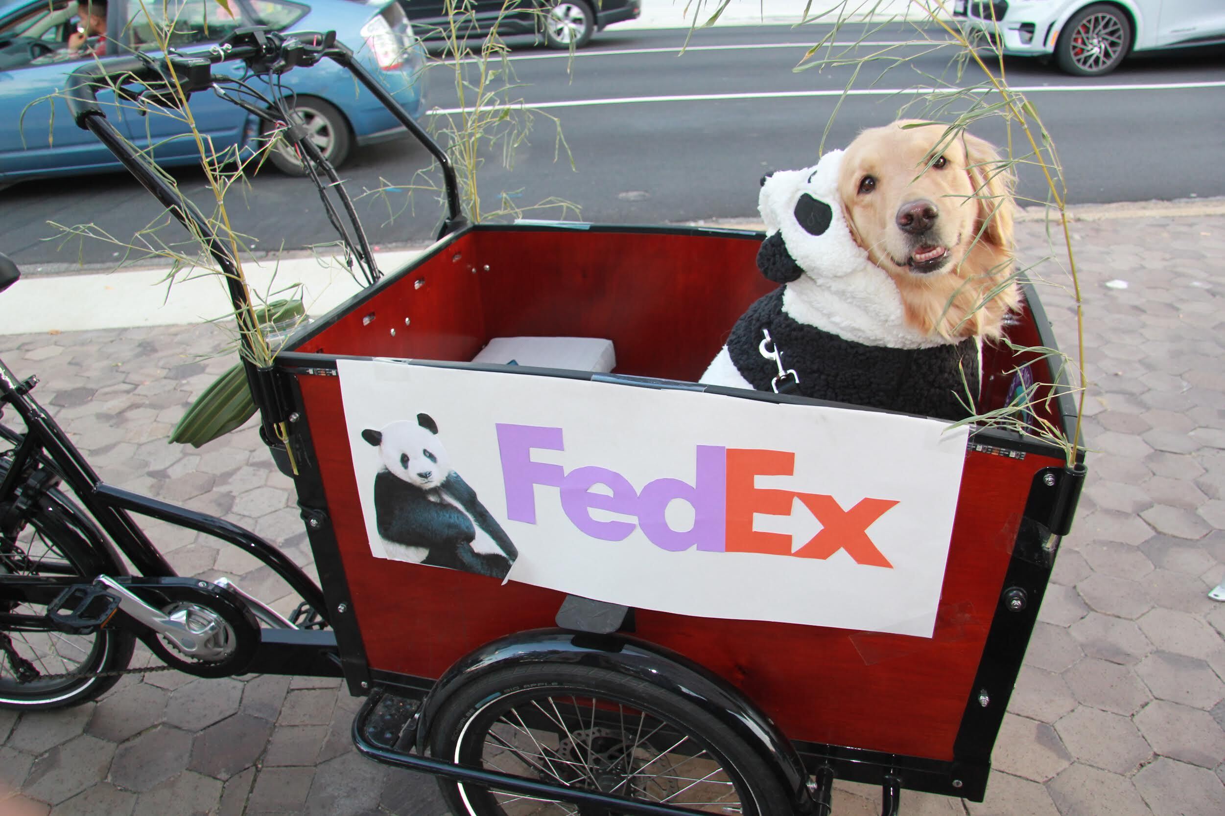 13 Dog-Friendly Halloween Celebrations Around DC - Washingtonian