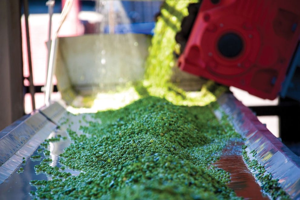 Food to Fuel—It is Not as Easy as it Seems! - Waste Advantage Magazine