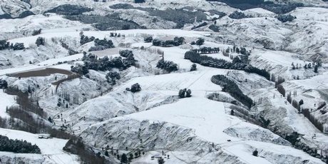 Rare snowstorm hits New Zealand - The Watchers