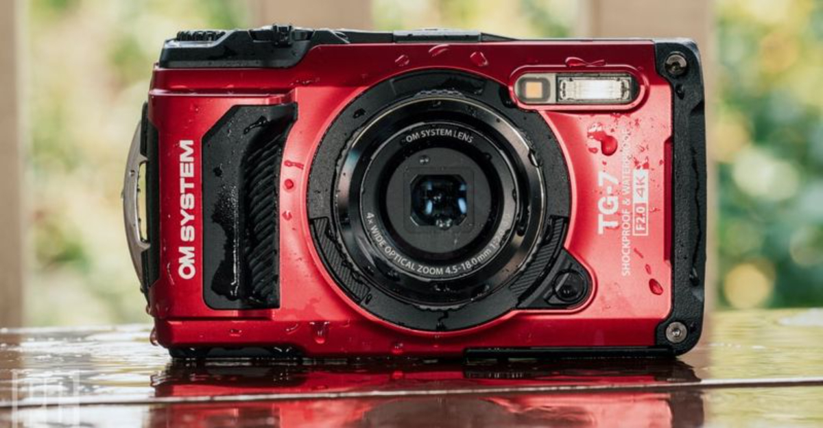 8 Best Travel Cameras with Optical Zoom - We3Travel