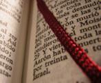 Undergraduate Degree in Spanish: Language and Literature. Undergraduate degree in Spanish: Language and Literature