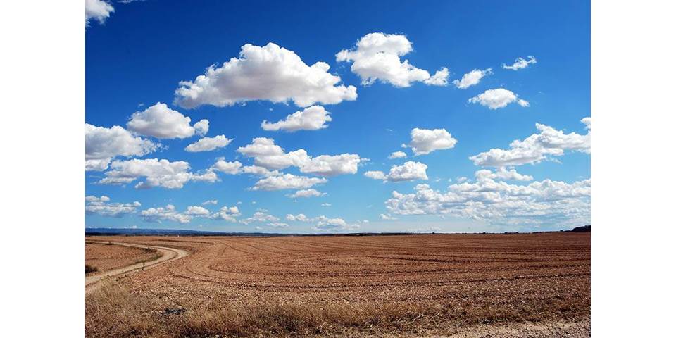 Fifty Years of Climate Dithering by Stefan Rahmstorf - Project Syndicate
