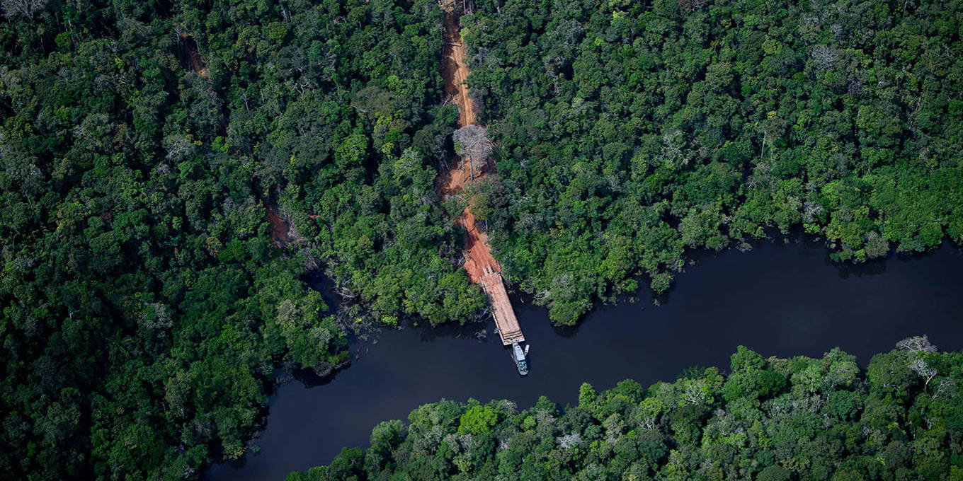 A bioeconomia não irá salvar a Amazônia by Ricardo Hausmann - Project Syndicate